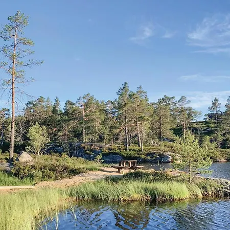 Dolemo Hillestadheia Iii *