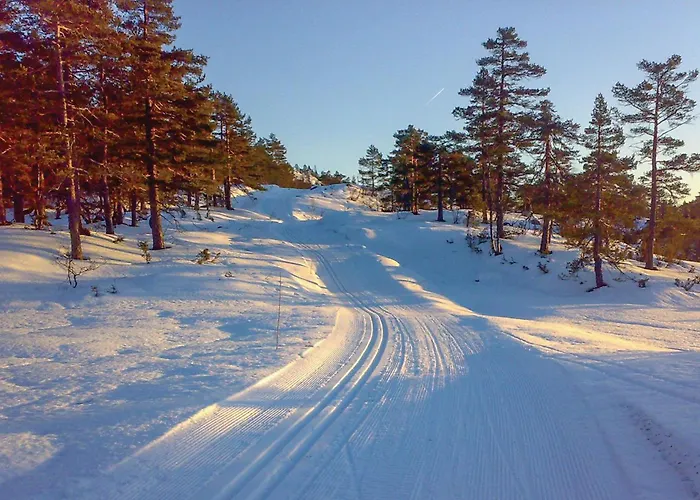 Hillestadheia Iii Vakantiehuis Dolemo