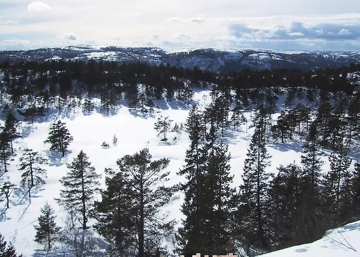 Hillestadheia Iii * Dolemo